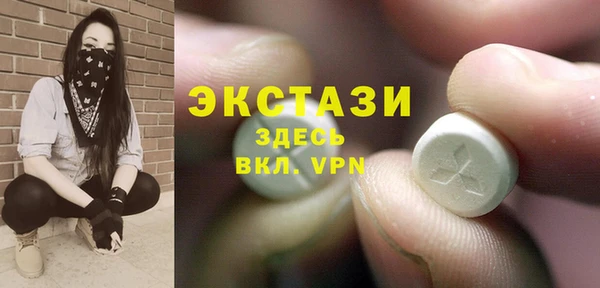 стаф Верея