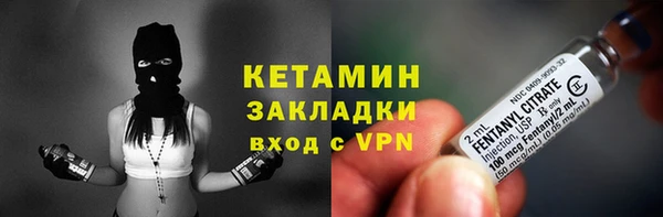 стаф Верея