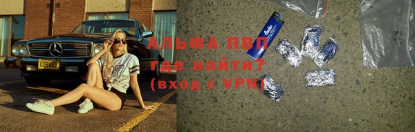 стаф Верея