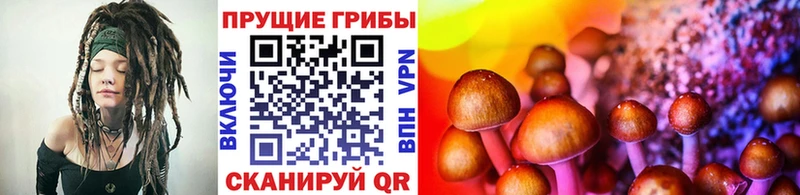 цена наркотик  Барабинск  MEGA   Псилоцибиновые грибы прущие грибы 